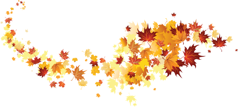 Осенние листочки на прозрачном фоне