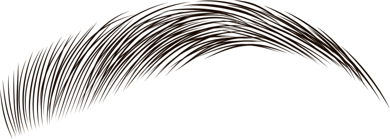 Брови для фотошопа