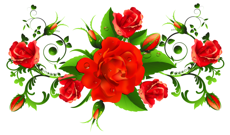 Цветы без фона