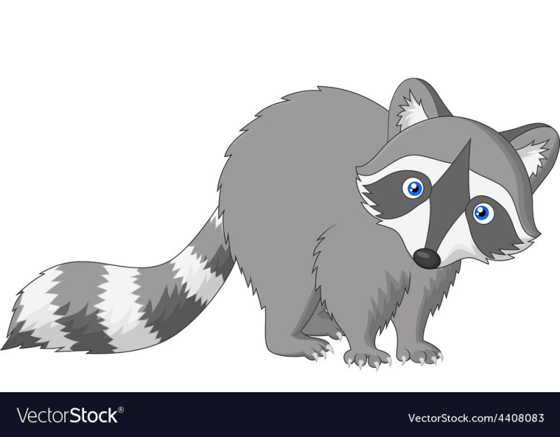 Енот мультяшный