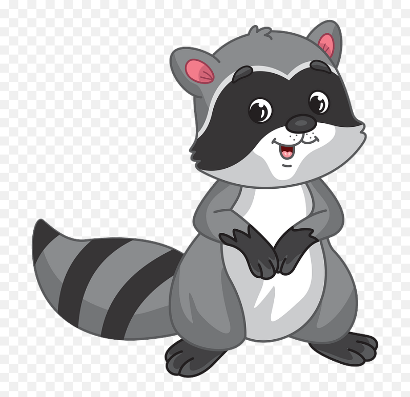 Енот рисунок