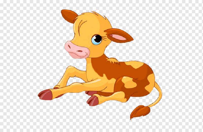 Теленок для детей на прозрачном фоне