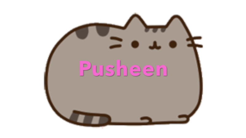 Котик Пушин