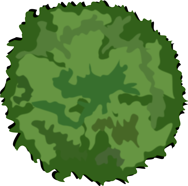 Деревья вид сверху