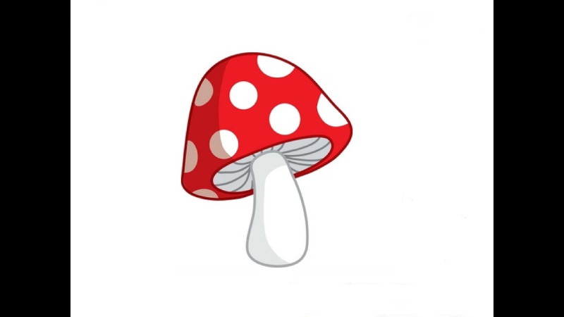 Грибы для детей мухомор белый гриб