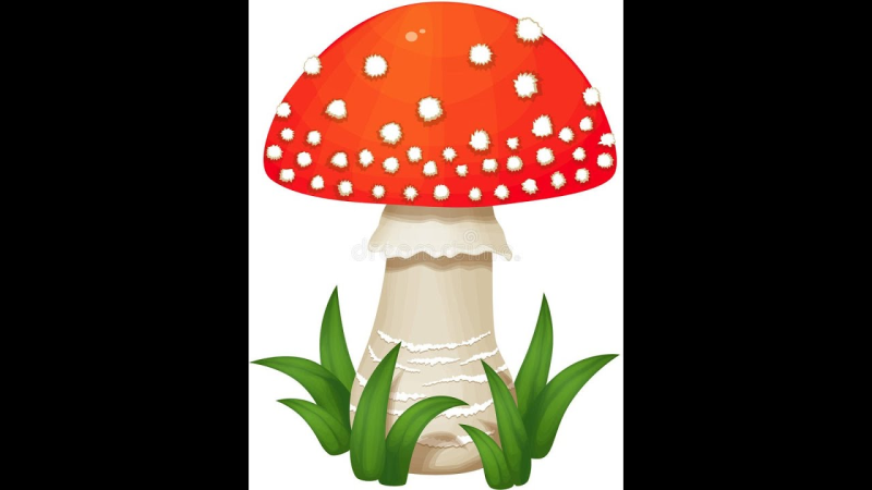 Мухомор рисунок