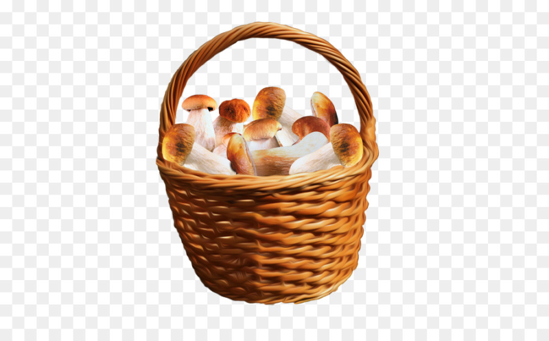 Корзина с грибами