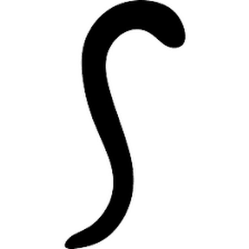 Хвост кота без фона