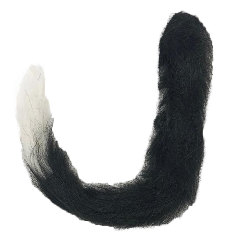 Хвост кота на прозрачном фоне