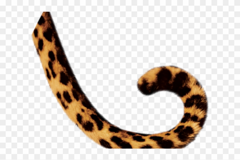 Тигровый хвост