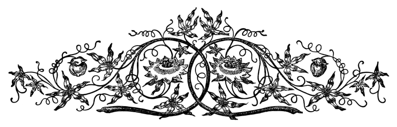 Растительный орнамент без фона