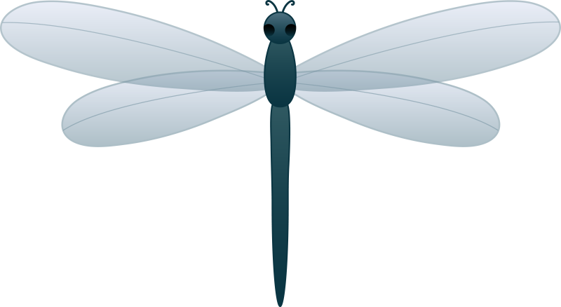 Стрекоза на белом фоне