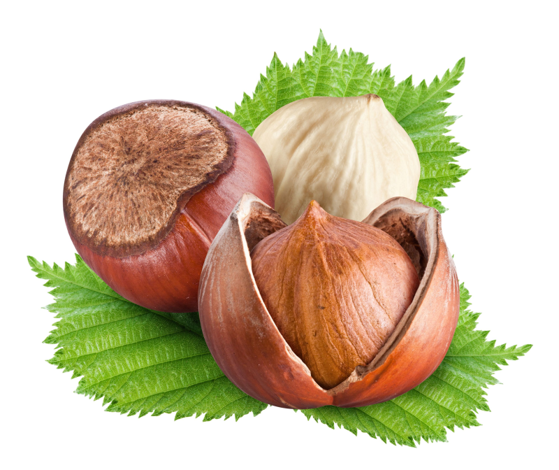 Орехи без фона