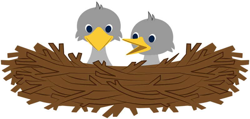 Птица в гнезде на прозрачном фоне