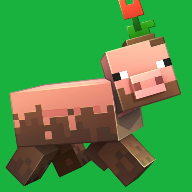 Свинья из майна