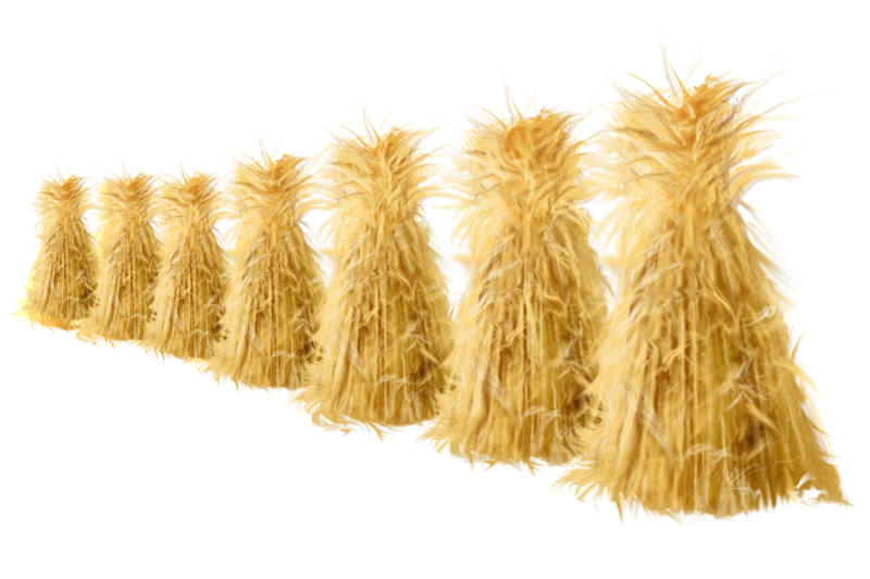 Пучок соломы