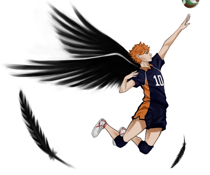 Аниме волейбол Хината