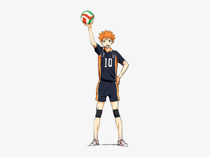 Хината шоё рост