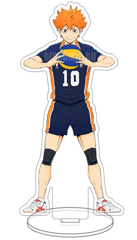 Хината шоё MSBY