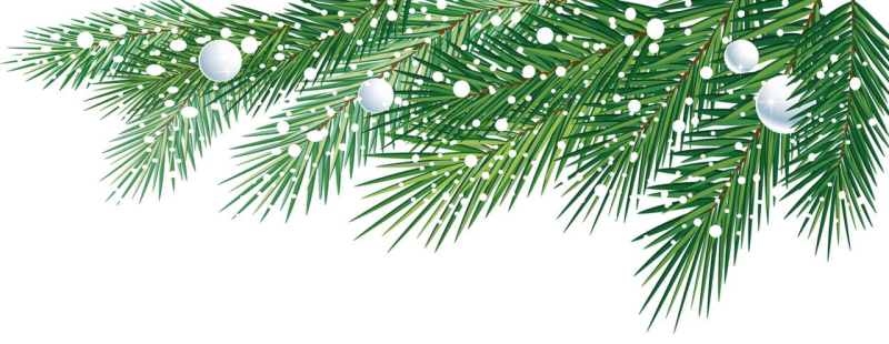 Веточка елки