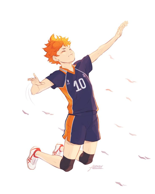 Хината шоё волейбол