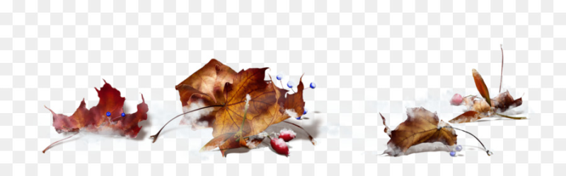 Клипарт ноябрь на прозрачном фоне