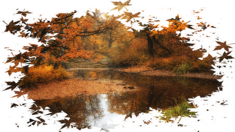 Осень картинки на прозрачном фоне
