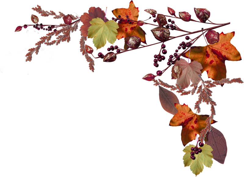 Осенний уголок