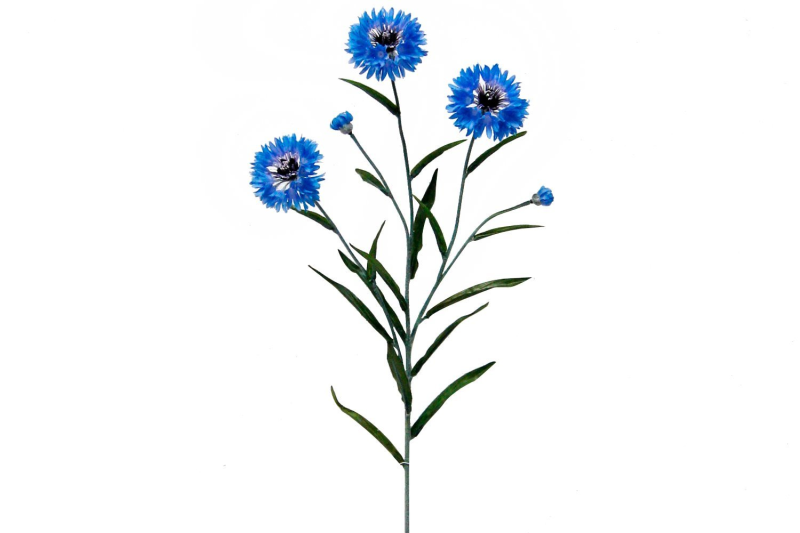 Василек стебель