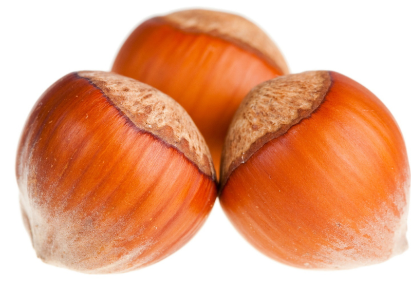 Лесной орех на белом фоне