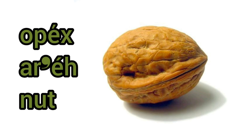 Орех грецкий