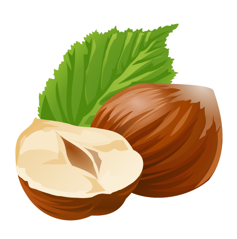 Орехи на прозрачном фоне