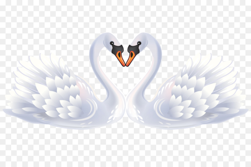 Свадебные клипарты на прозрачном фоне