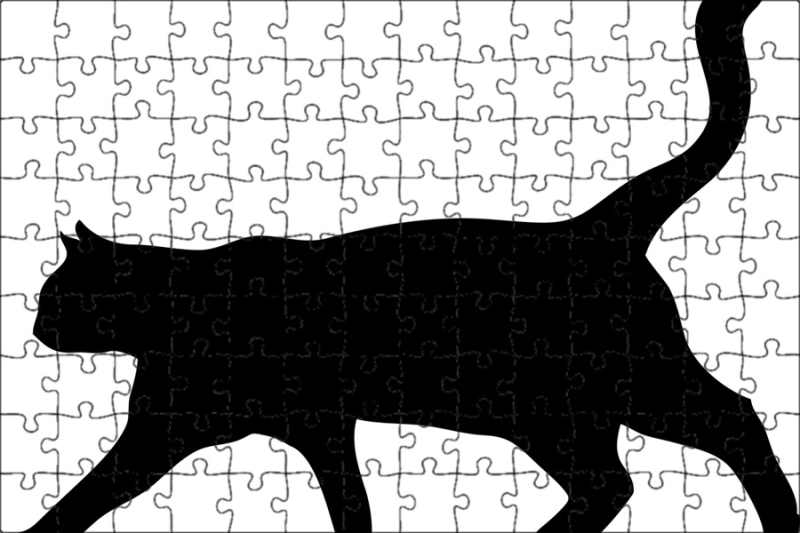 Кошка на прозрачном фоне