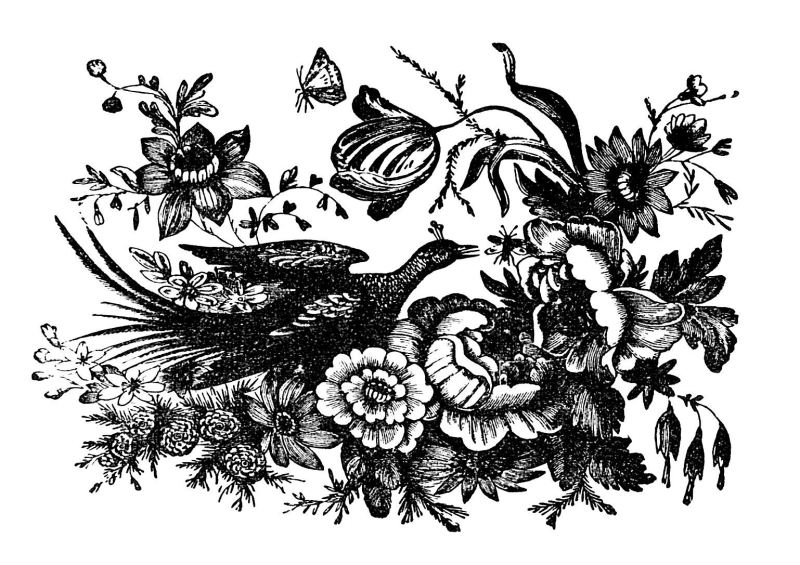 Графический рисунок