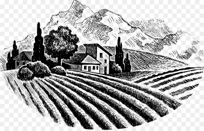 Винодельня линогравюра