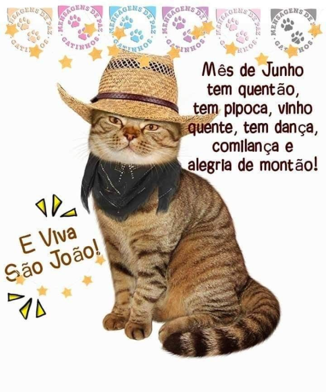 Коты в шляпах