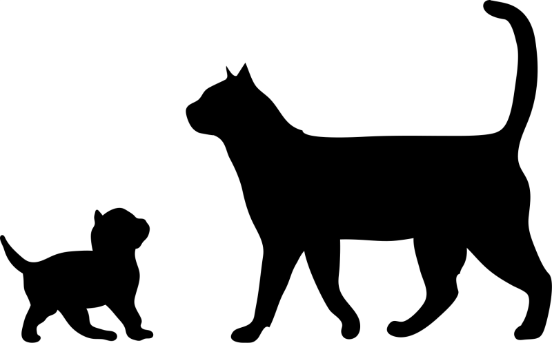 Силуэты животных кошка