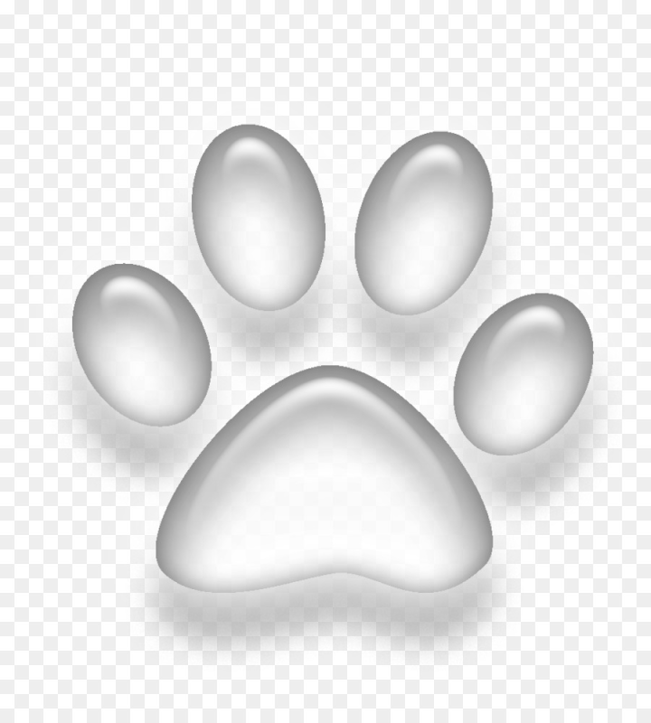 Белая лапка на прозрачном фоне