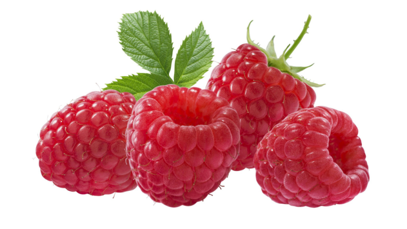 Малина для детей