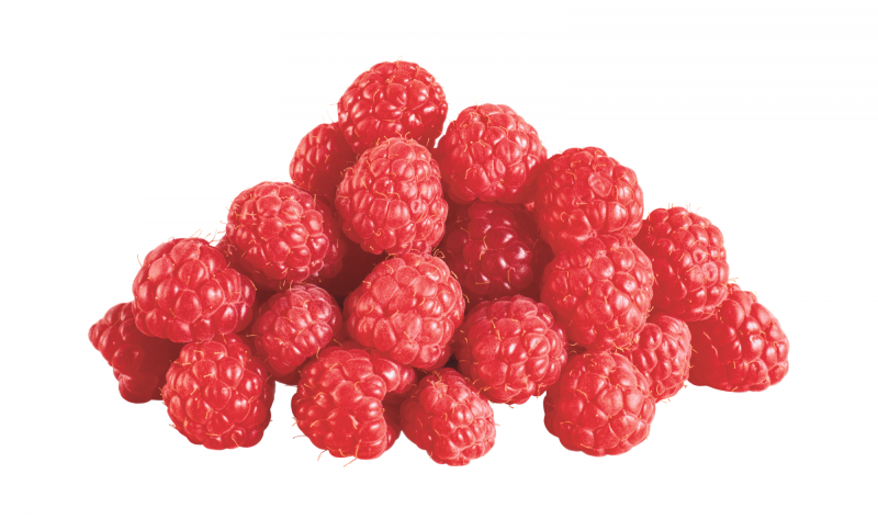 Ягода малина