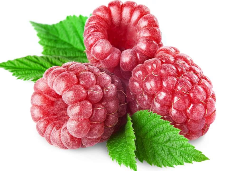 Малина 1 ягода