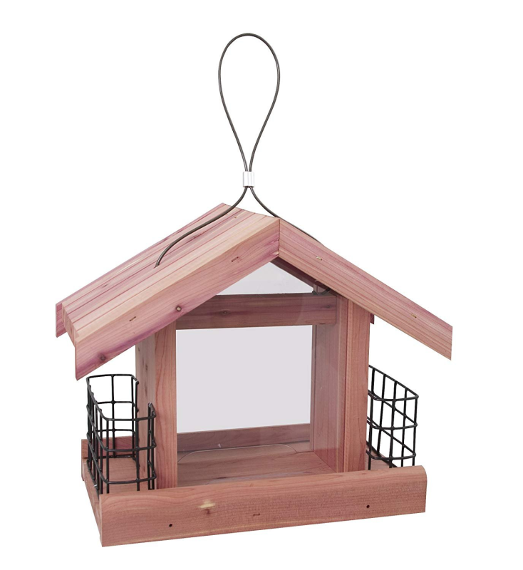 Кормушка для птиц без фона