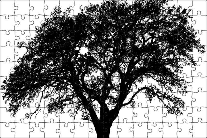 Силуэт дерева