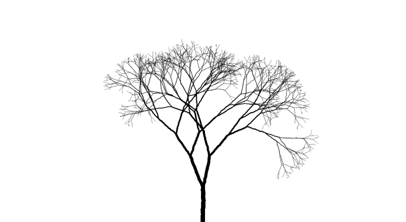 Силуэт дерева
