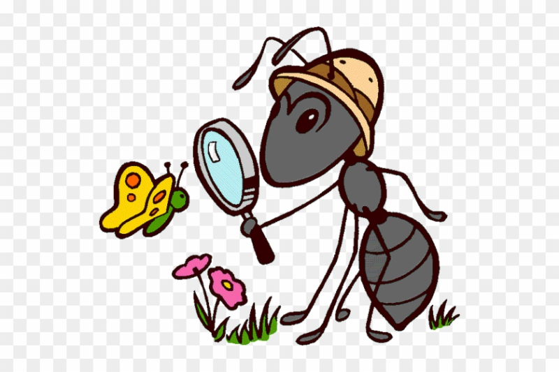 Муравьишка вопросик на прозрачном фоне