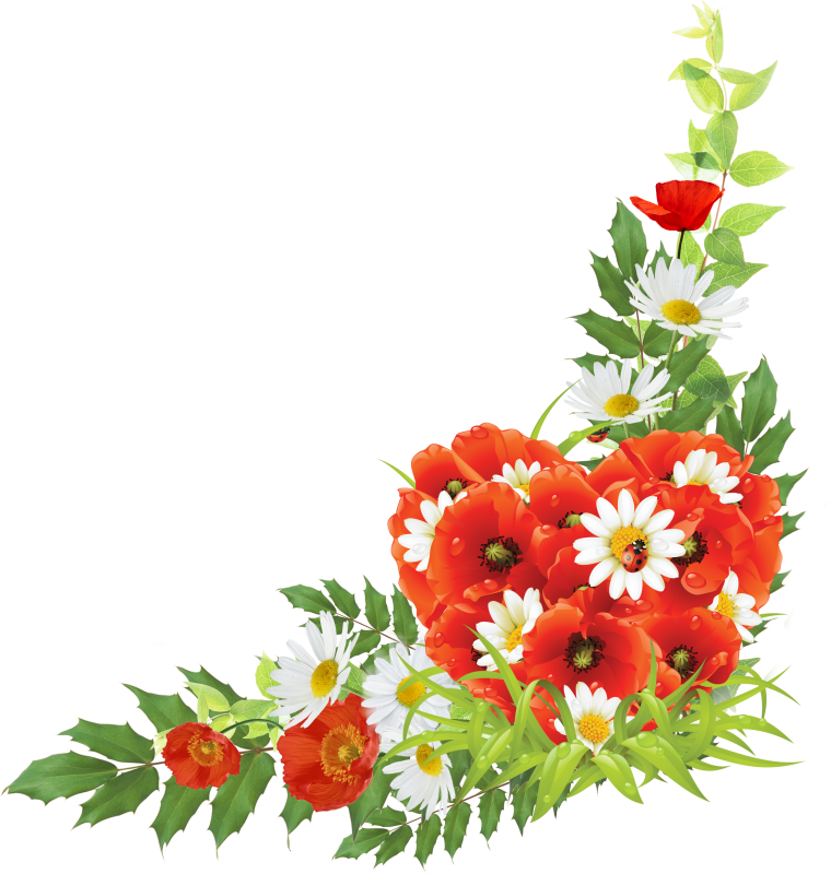 Клипарт цветы на прозрачном фоне