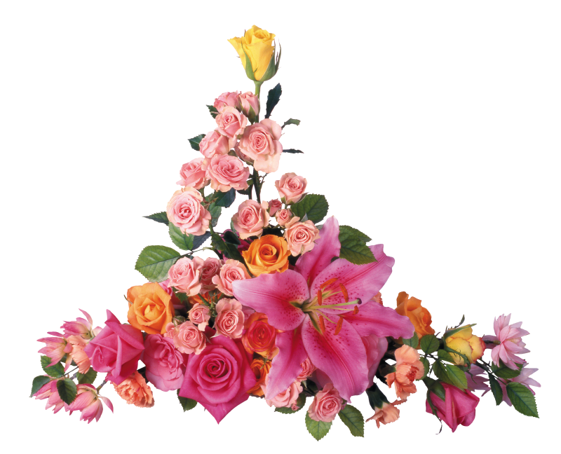 Цветы на прозрачном фоне