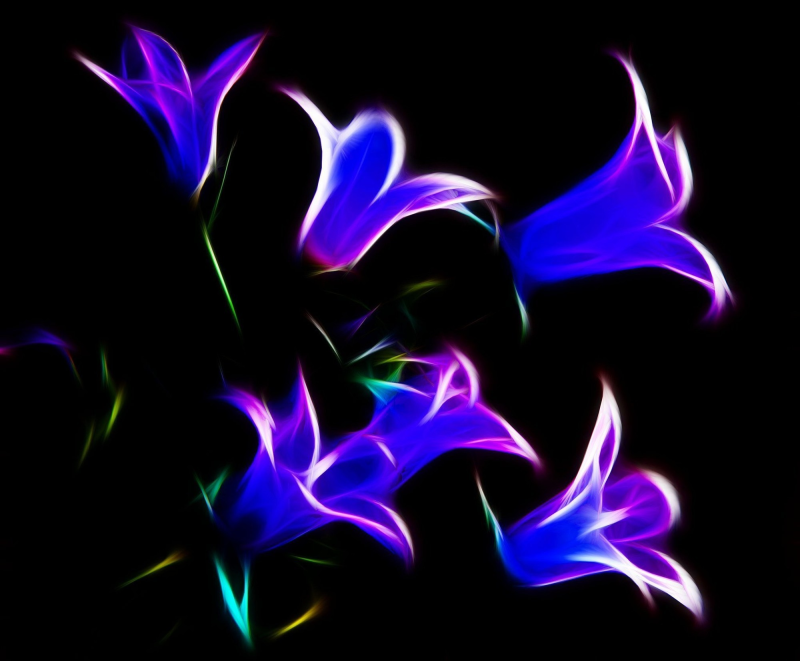 Неоновые цветы на черном фоне